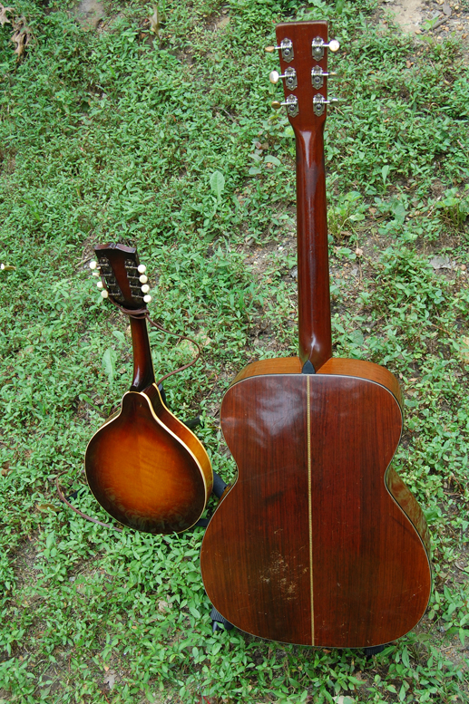 Pop and Paul's Acoustics